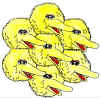 Big Yellow Bird